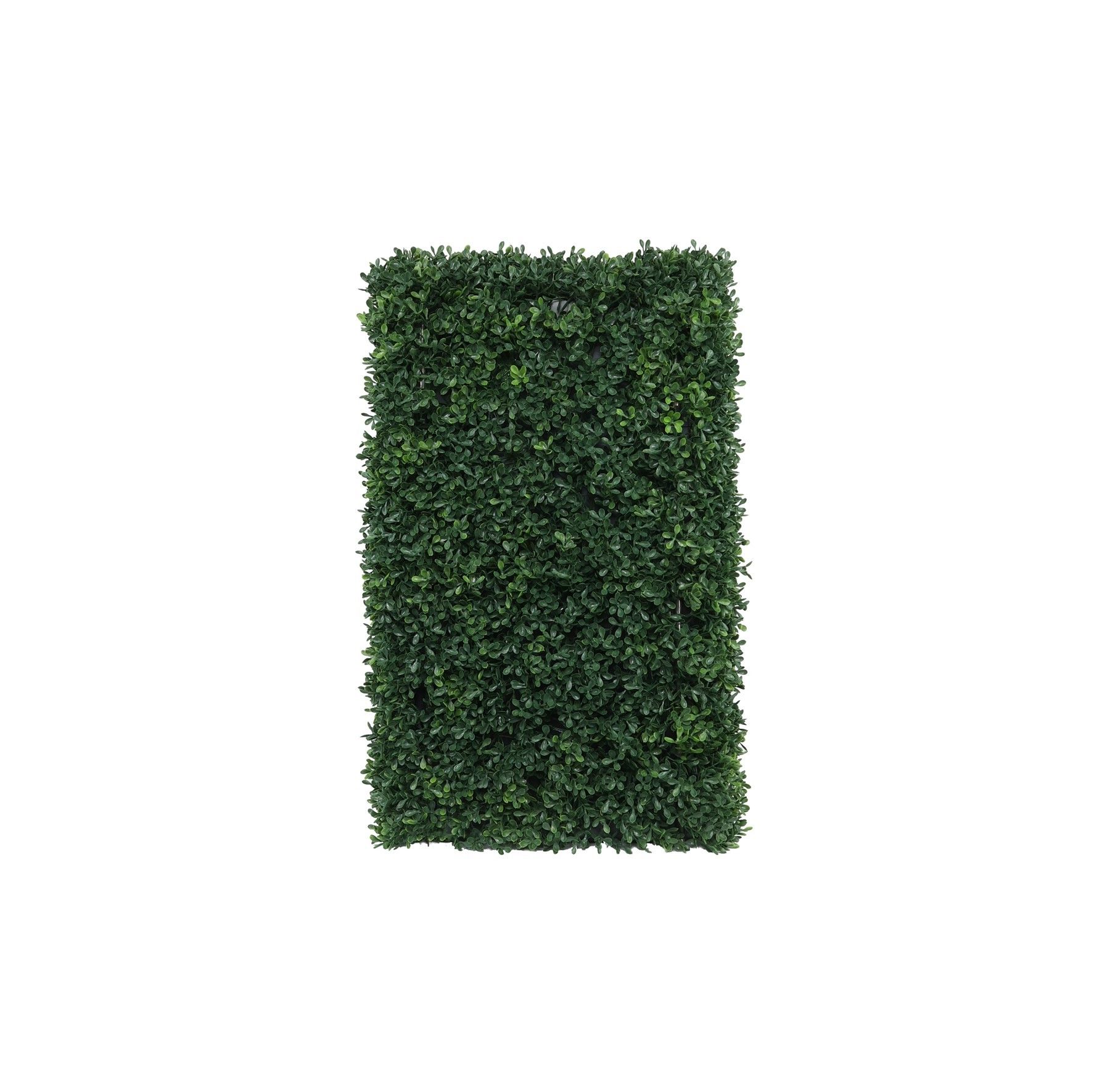 Botanica Hedge U.V - 37cm x 62cm