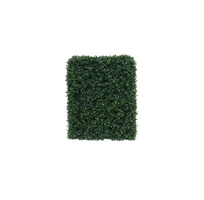 Botanica Hedge U.V - 37cm x 48cm