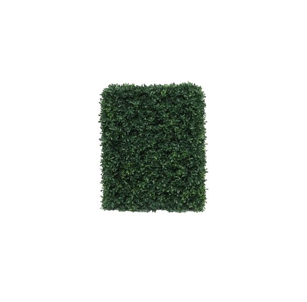 Botanica Hedge U.V - 37cm x 48cm