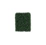Botanica Hedge U.V - 37cm x 48cm