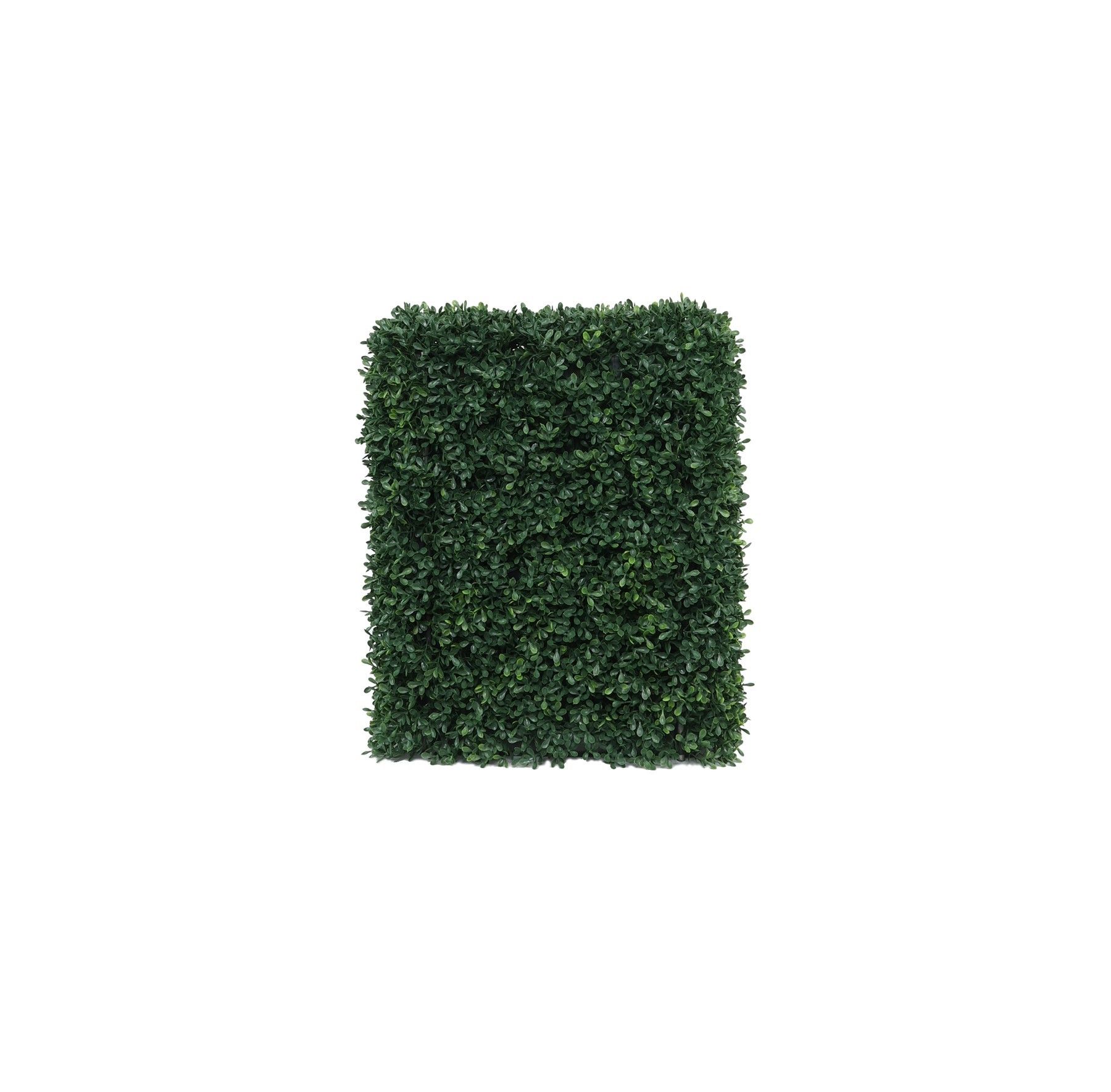 Botanica Hedge U.V - 37cm x 48cm