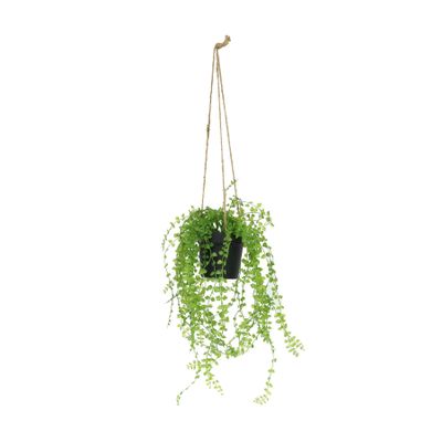 Botanica Hanging Mini Trail