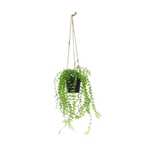 Botanica Hanging Mini Trail