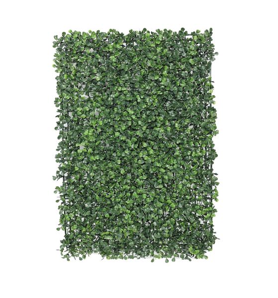 Botanica Box Panel - 61cm x 41cm