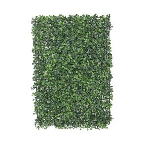 Botanica Box Panel - 61cm x 41cm