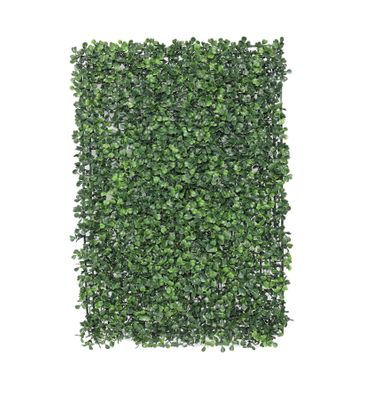 Botanica Box Panel - 61cm x 41cm