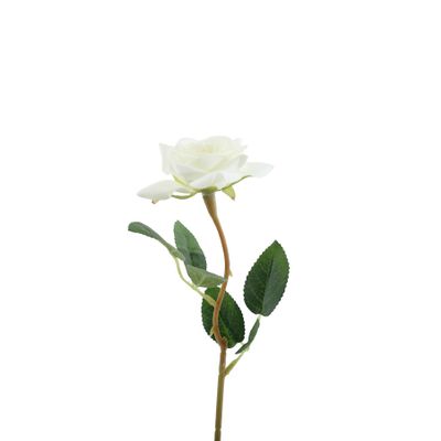 Essential Rose  - White