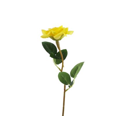 Essential Rose  - Yellow