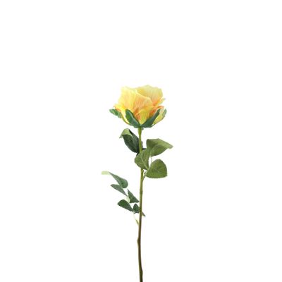 Essential Garden Rose - Lemon