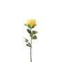 Essential Garden Rose - Lemon