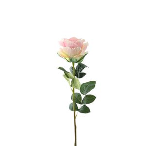 Essential Garden Rose - Tonal Soft Pink