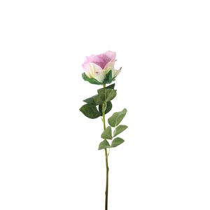 Essential Garden Rose -  Tonal Lilac