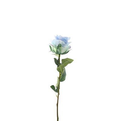 Essential Garden Rose - Tonal Ice Blue