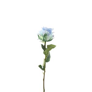 Essential Garden Rose - Tonal Ice Blue