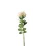 Essential Garden Rose - Nude