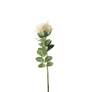 Essential Garden Rose - Nude