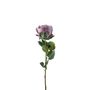 Essential Garden Rose - Vintage  Lilac