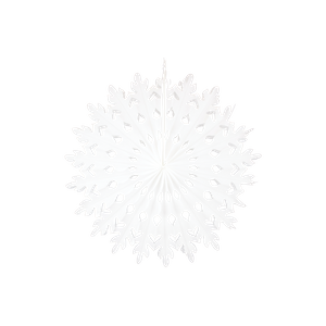 Christmas 3D Paper Snowflake Decoration