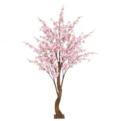 Yoshino Blossom Tree  - Light Pink - 1.8m