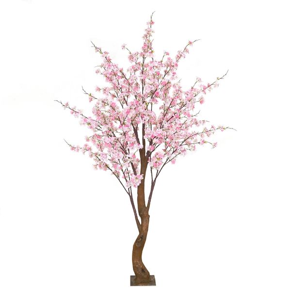 Yoshino Blossom Tree  - Light Pink - 1.8m