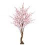 Yoshino Blossom Tree  - Light Pink - 1.8m