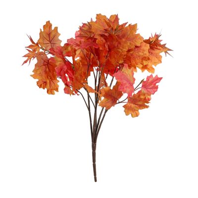 Essential Autumn Maple Bush - Red