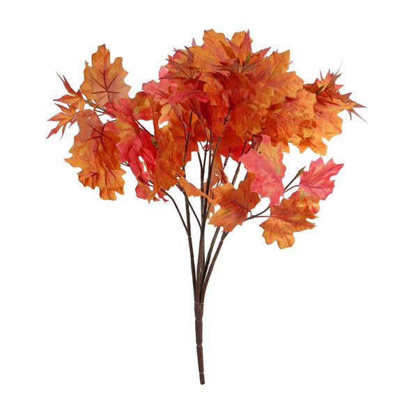 Essential Autumn Maple Bush - Red