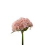 Essential Hydrangea Bouquet - Pink