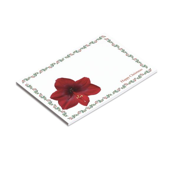 Large Card - Amaryllis - Happy Christmas - Pk6