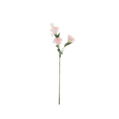 Essential Lisianthus - Pink 