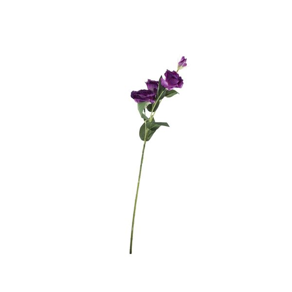 Essential Lisianthus - Purple