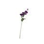 Essential Lisianthus - Purple