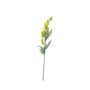 Essential Thistle -Yellow