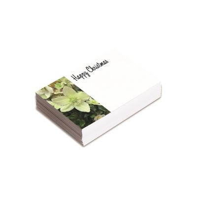 Small Card - Hellebore - Happy Christmas - Pk25