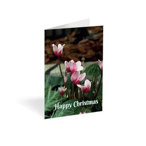 Folded Card - Happy Christmas Cyclamen - Pk25