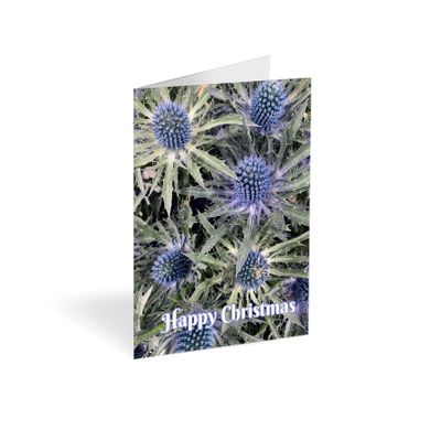 Folded Card - Happy Christmas Blue Sea Holly - Pk25