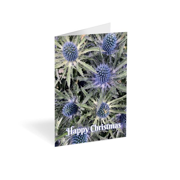 Folded Card - Happy Christmas Blue Sea Holly - Pk25