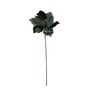 Single Magnolia on Stem - Green - H55cm