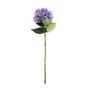 Essential Giant Hydrangea KD - Lilac