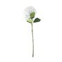 Essential Giant Hydrangea KD - White