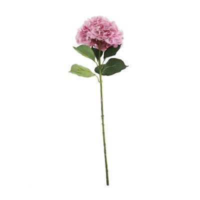 Essential Giant Hydrangea KD - Light Pink