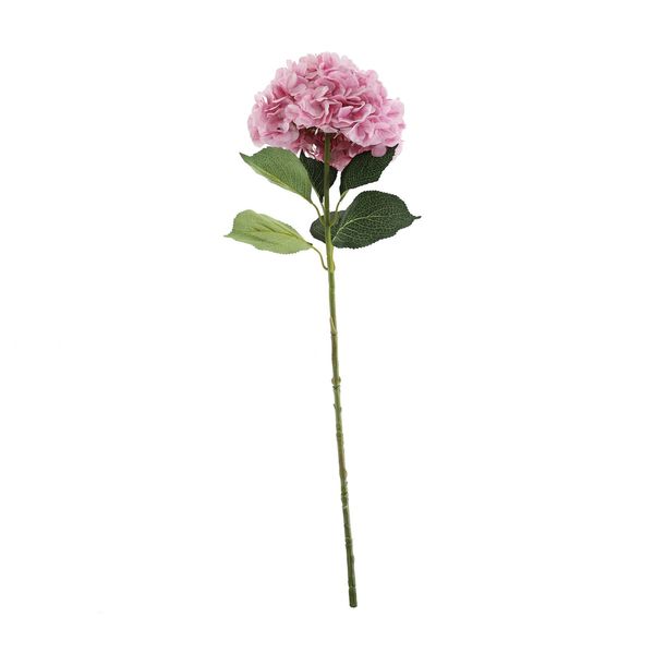 Essential Giant Hydrangea KD - Light Pink