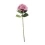 Essential Giant Hydrangea KD - Light Pink