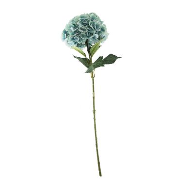 Essential Giant Hydrangea KD - Green/Blue