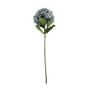 Essential Giant Hydrangea KD - Lilac/Green