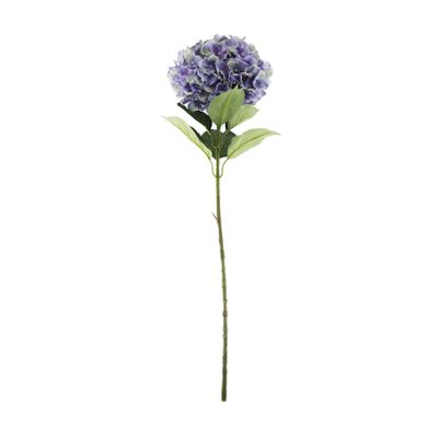 Essential Giant Hydrangea KD - Purple/Green