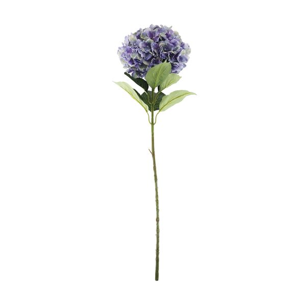 Essential Giant Hydrangea KD - Purple/Green