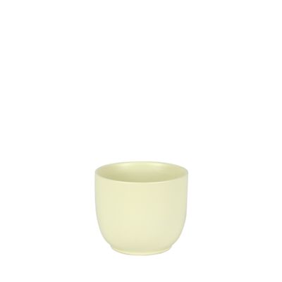 Hortus Cairo Ceramic Pot - Matt Cream - Dia12 x H10cm