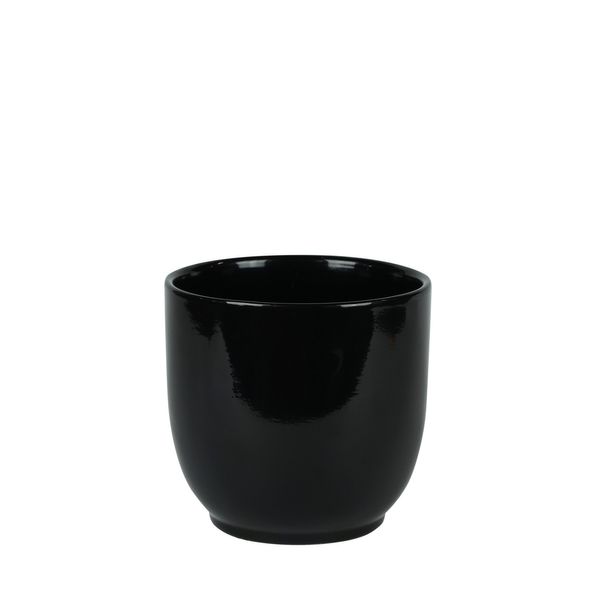 Hortus Cairo Ceramic Pot - Glossy Black - Dia16 x H15cm