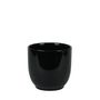 Hortus Cairo Ceramic Pot - Glossy Black - Dia16 x H15cm